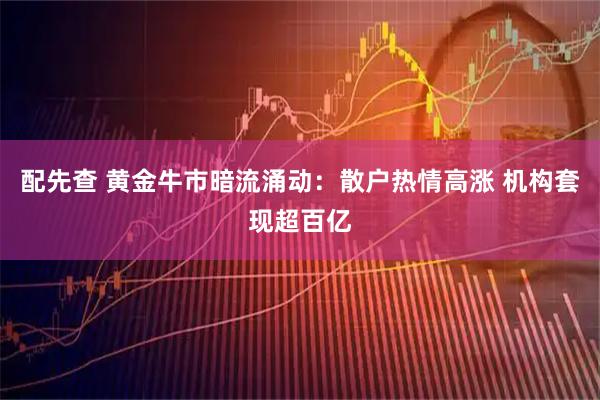 配先查 黄金牛市暗流涌动：散户热情高涨 机构套现超百亿