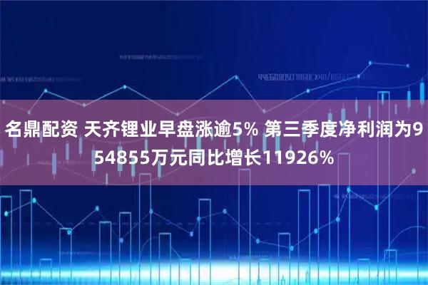 名鼎配资 天齐锂业早盘涨逾5% 第三季度净利润为954855万元同比增长11926%
