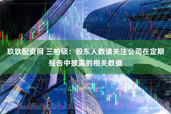 玖玖配资网 三柏硕：股东人数请关注公司在定期报告中披露的相关数据